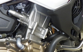 HONDA CRF1100L AFRICA TWIN 2019 SD10