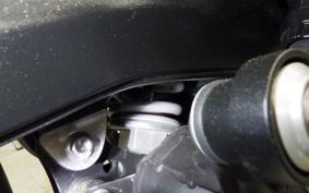 TRIUMPH STREET TRIPLE S 2021