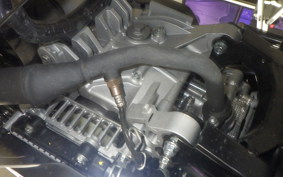 YAMAHA CYGNUSｸﾞﾘﾌｧｽ SEJ4J