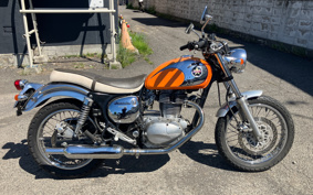 KAWASAKI ESTRELLA RS LTD BJ250A