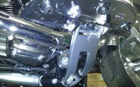 HARLEY FLSTFI1920 2025