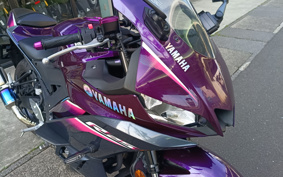 YAMAHA YZF-R25 RG74J