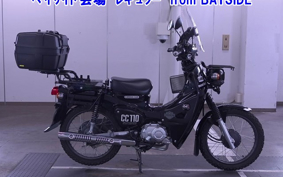 OTHER  CROSS  CUB 110-2