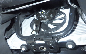 YAMAHA X-MAX 250 2021 SG70J