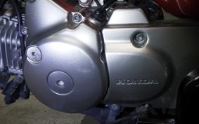 HONDA MONKEY 125 2024 JB02