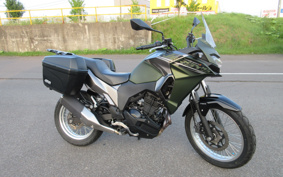 KAWASAKI VERSYS-X 250  LE250D