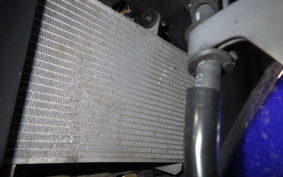 YAMAHA YZF-R25 2007 RG10J