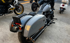 HARLEY FXLRST 2024 YXZ