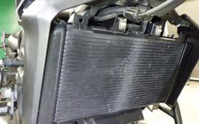 KAWASAKI ELIMINATOR400-3 2024 EL400A