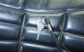 KAWASAKI Z900 2026 Z1F