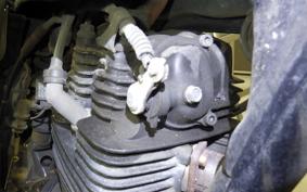 YAMAHA TW225 DG09J