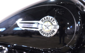 HARLEY FLFBS 2023 YGK