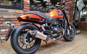 HARLEY X500 2024 W5B