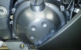 KAWASAKI ZX 1400 NINJA 2010