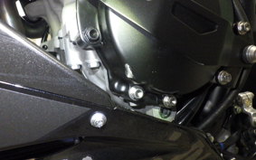 KAWASAKI NINJA ZX-6R A 2026 ZX636J
