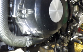 KAWASAKI Z900RS 2023 ZR900K
