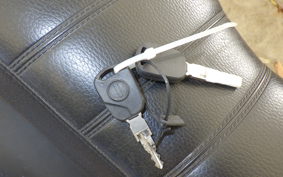 FANTIC SCRAMBLER500 2022