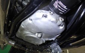 KAWASAKI W800 STREET 2021 EJ800E