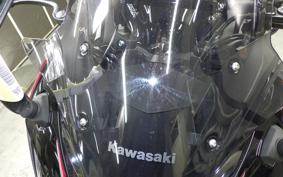 KAWASAKI NINJA 1000SX 2024 ZXT02K