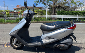YAMAHA AKUSHI STREET SE53J