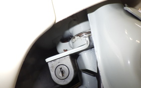 HONDA LITTLE CUB E 2020 AA01