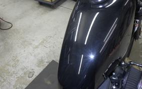 HARLEY XL883N 2010
