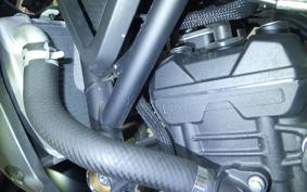 YAMAHA MT-25 A RG43J