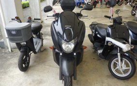 HONDA FAZE MF11