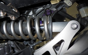 KAWASAKI NINJA 1000SX 2020 ZXT02K