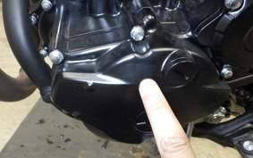 KAWASAKI KLX230 SM 2010 LX232A