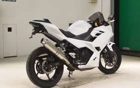 KAWASAKI NINJA 250 EX250P