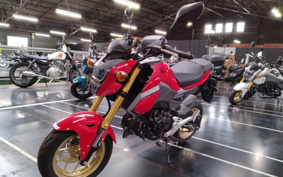 HONDA GROM JC75