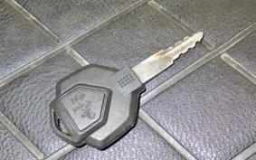 OTHER +UNREGISTERED MODEL by BDS125