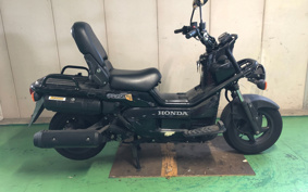 HONDA PS250 MF09