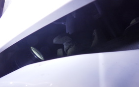 YAMAHA GEAR Gen.2 2025 UA08J