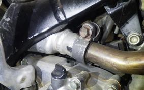 HONDA RTL260R 1998 RTL260FF