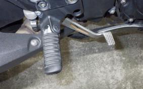 KAWASAKI NINJA 1000 SX 2021 ZXT02K