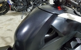 OTHER KANNAMURYKER900 2020