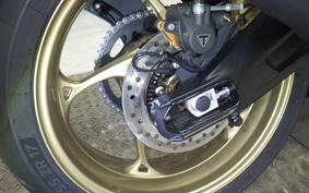 TRIUMPH TRIDENT 800 2026
