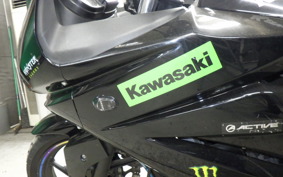 KAWASAKI NINJA 250R EX250K