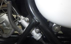 KAWASAKI ESTRELLA RS 2024 BJ250A