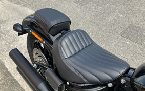 HARLEY FXBBS 2022 YYK