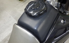 HONDA XR-250 GEN 2 2023 MD30
