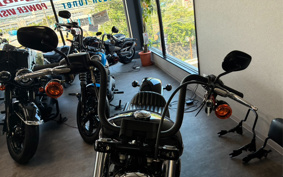 HARLEY FXBB 2020 YJJ