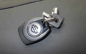 HARLEY FLHX1920 2026