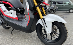 HONDA ZOOMERX JF62