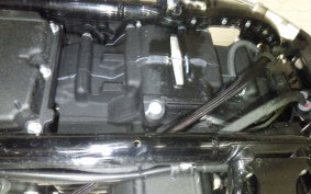 HARLEY FXBB1920 2025