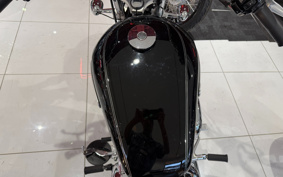 HARLEY XL1200L 2010 CX3