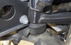 KAWASAKI NINJA 250R EX250K