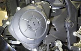 YAMAHA MT-25 1996 RG10J